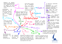 Intertextualidade.pdf